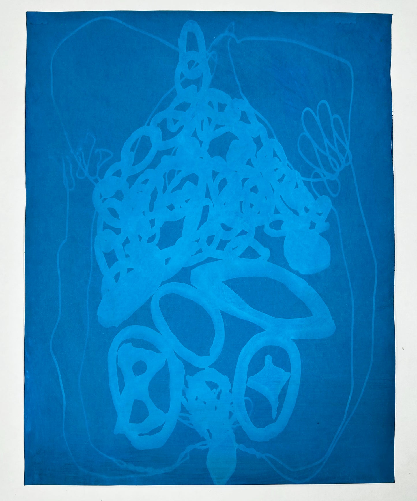 Cyanotype Sun Prints