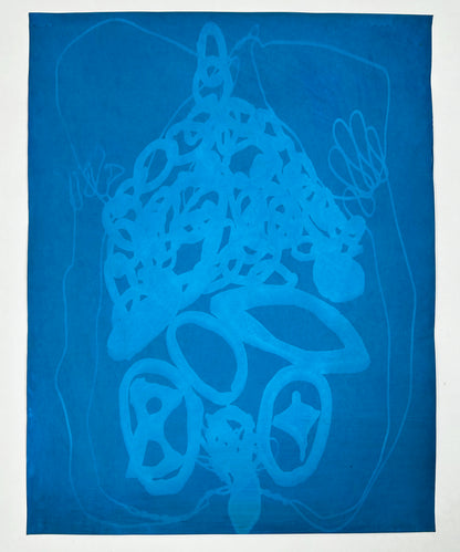 Cyanotype Sun Prints