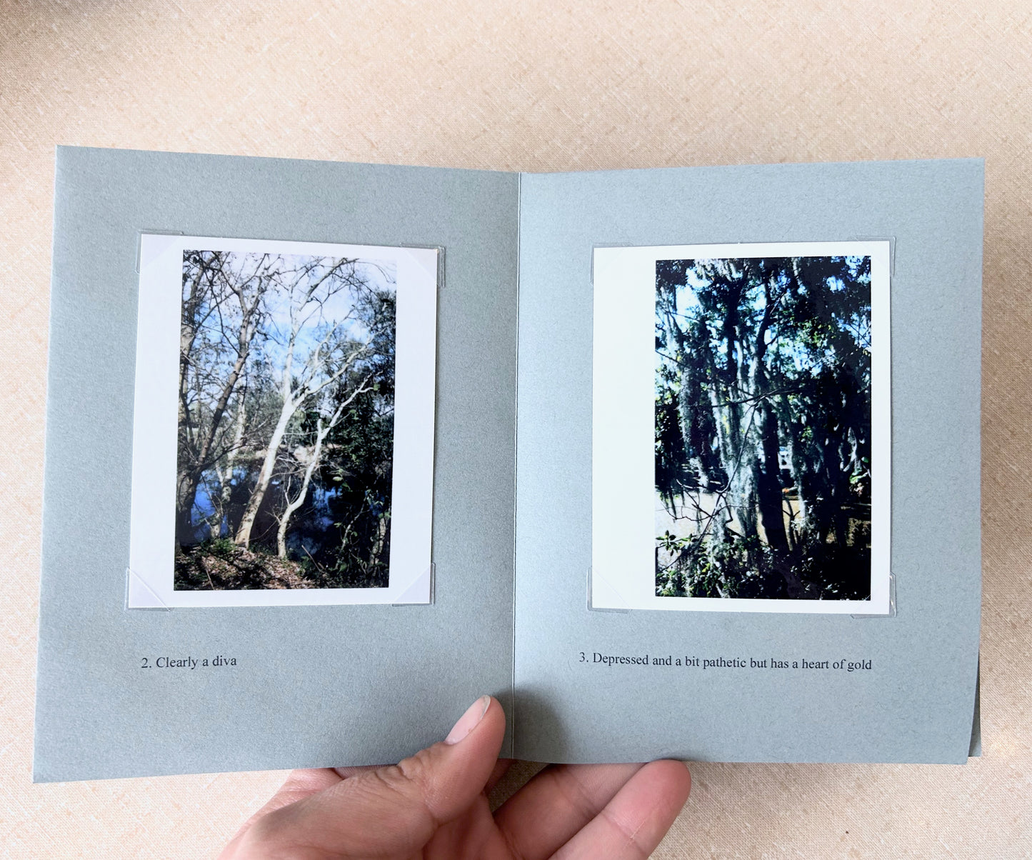 Descriptions of Five Trees I Photographed Zine