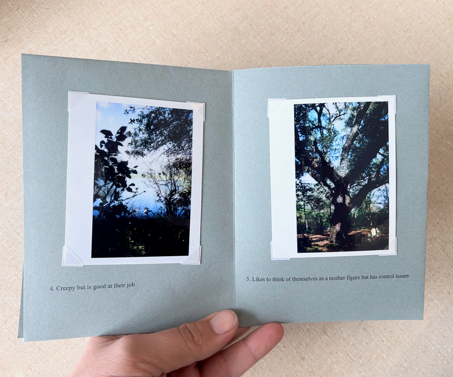 Descriptions of Five Trees I Photographed Zine